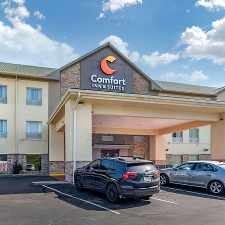 Comfort Inn & Suites Σινσινάτι Εξωτερικό φωτογραφία